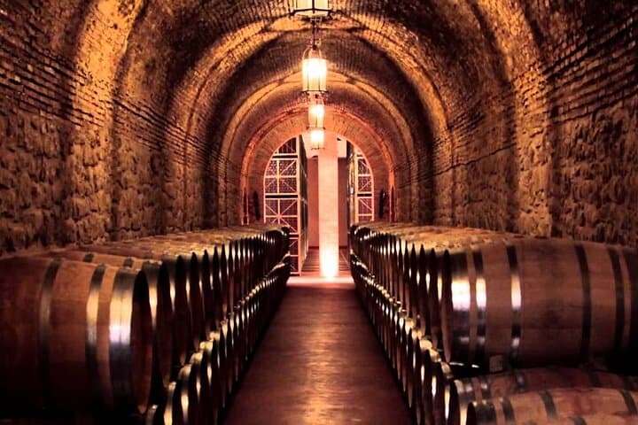 Guided tour of Txakoli wine tasting and tasting of wine and typical products