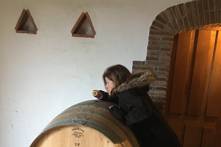 Guided tour of Txakoli wine tasting and tasting of wine and typical products