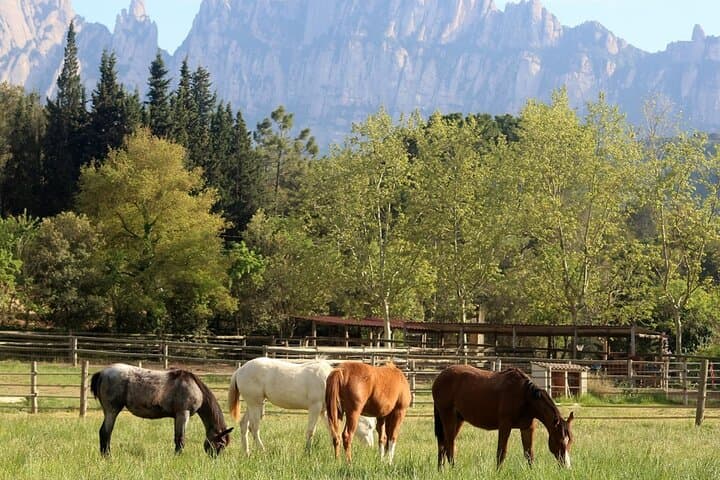 Horseback Riding in Montserrat Mountain Natural Park, Barcelona - 1 to 2 hrs