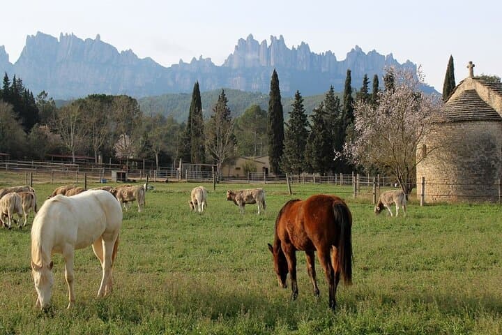 Horseback Riding in Montserrat Mountain Natural Park, Barcelona - 1 to 2 hrs
