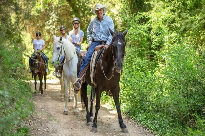 Horseback Riding in Montserrat Mountain Natural Park, Barcelona - 1 to 2 hrs