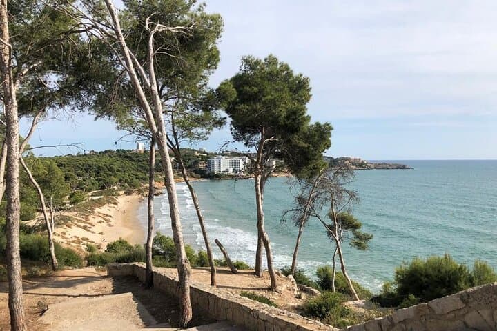 Transfer from Salou/ Port Aventura/ Cambrils to BCN Airport