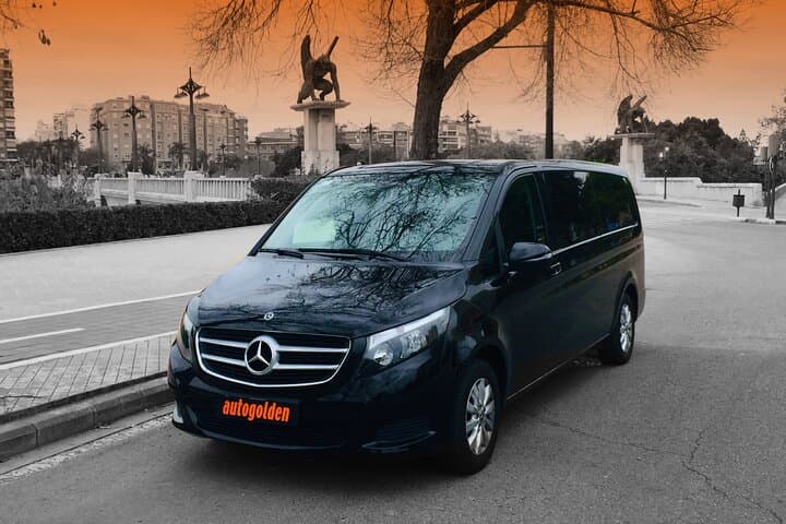 Private Valencia Transfer: Cruise Port or Airport to Central Valencia