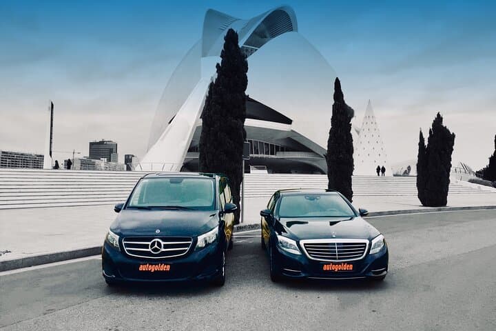 Private Valencia Transfer: Central Valencia to Cruise Port or Valencia Airport