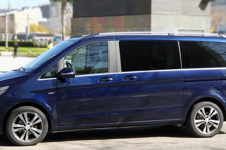 Malaga Airport (Costa del Sol) Private Arrival Transfer
