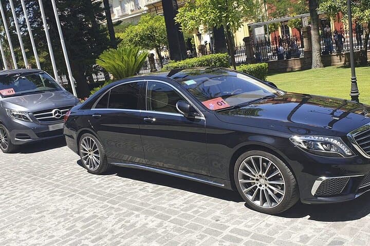 Malaga Airport (Costa del Sol) Private Arrival Transfer
