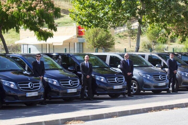Private Malaga Transfer: Cruise Port to Central Malaga and Costa del Sol