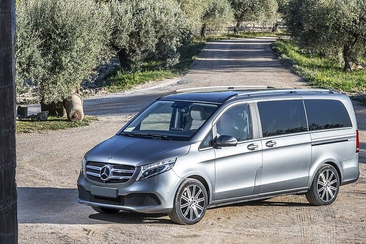 Private Malaga Transfer: Cruise Port to Central Malaga and Costa del Sol