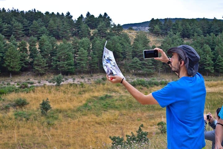 Photorouting