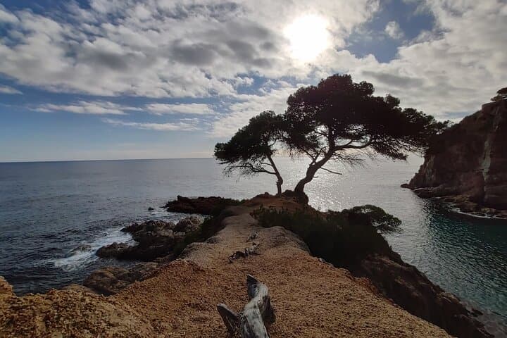 Private Costa Brava Kayak Experience with Snorkel from Barcelona