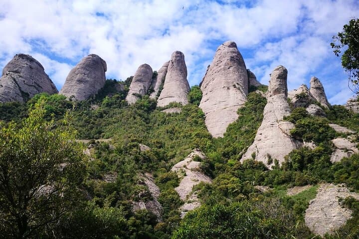 Private Montserrat with Lunch and Wine Tasting from Barcelona