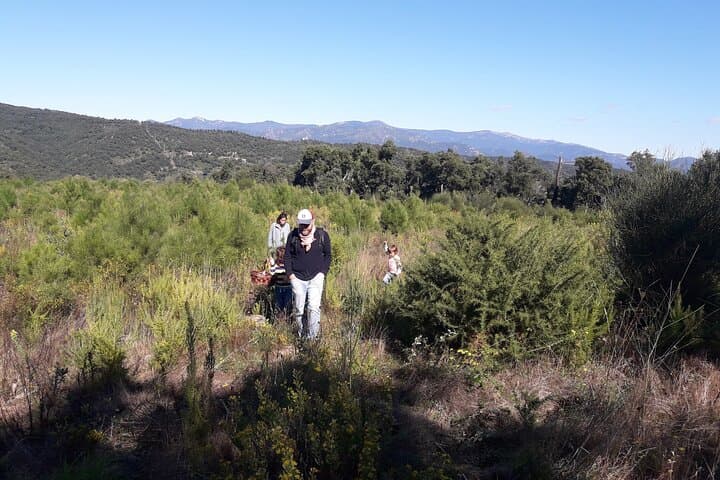 Half Day Gastronomic Wild Walk in Girona