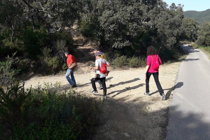 Half Day Gastronomic Wild Walk in Girona