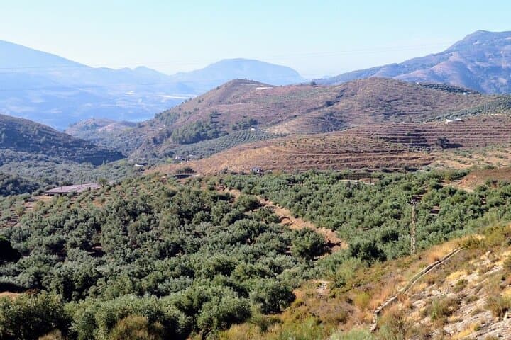 Premium Scenic Daytrip to Alpujarra Villages from Granada (Max 8)