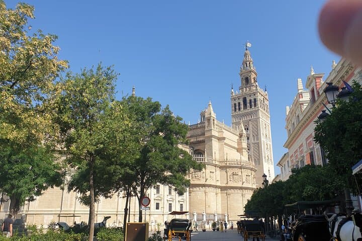 Guided Tour Sevilla Cathedral