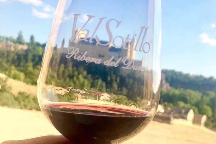 Segovia with Winery & Tasting Small Group Tour from Madrid
