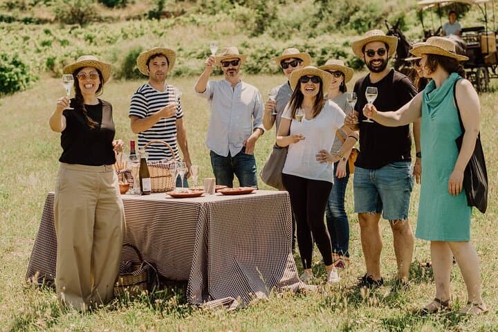 Montserrat & Penedes Winery Private Day Trip with Cava Tasting