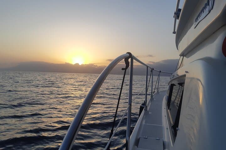 Image of the port side of the Lovit Charter boat