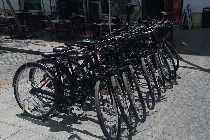 Bike rental day