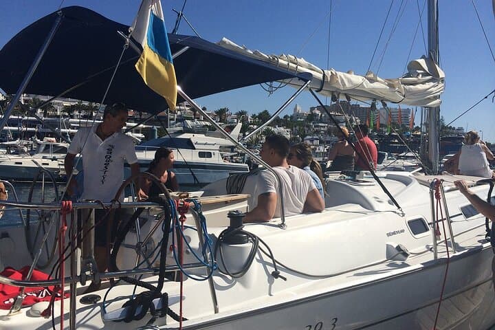 Velero SeaQuestFF