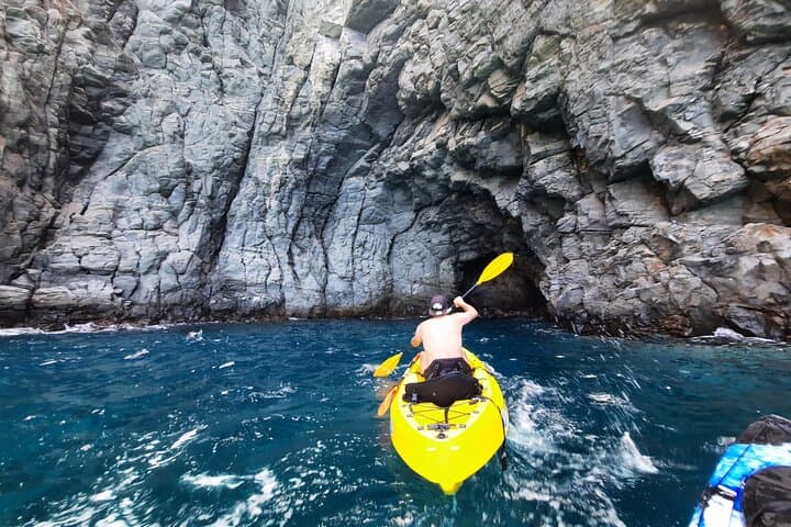 Kayak Safari with Dolphin and Turtle Watching from Los Cristianos
