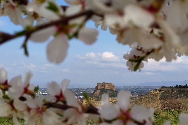 Guided tour of Monzón and the castle 3h.