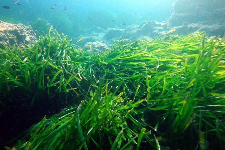 Small Group Diving Adventure in Menorca