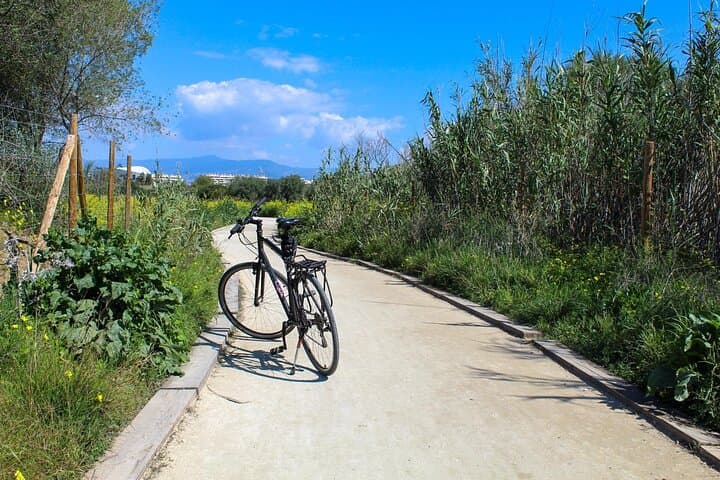 Rent a Trekking bike: Full Day 24 hours