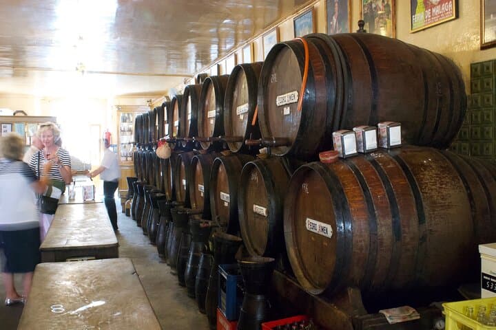 Exclusive Private Malaga Walking Tour by Pro-Licensed Tour Guides