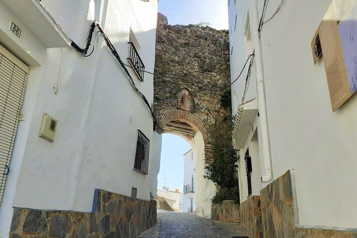 Arab gate