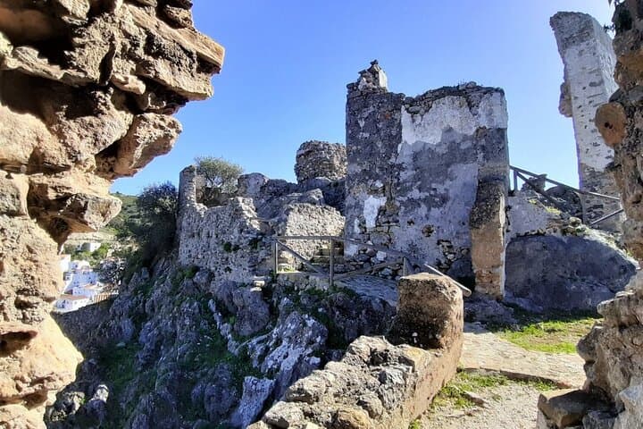 Ruins of the Arab castle
