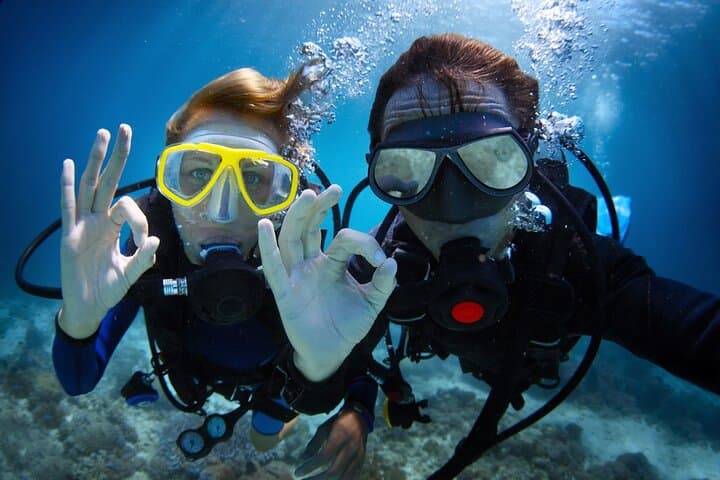Discover PADI Diving in Barcelona