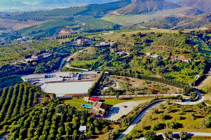 Malaga - guided horseback riding
