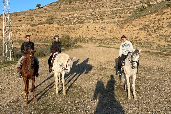 Malaga - guided horseback riding