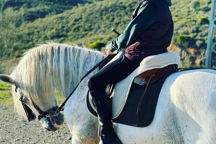 Malaga - guided horseback riding
