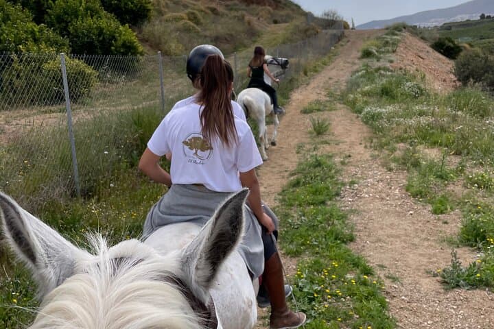 Malaga - guided horseback riding