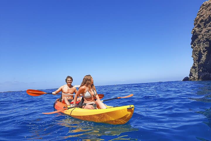 Kayak with Dolphin & Turtle Watching Private Tour