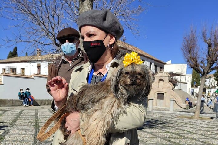We like to pamper the dogs on our visits.
