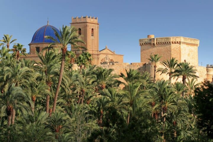 Elche and Santa Pola Half Day Guided Tour