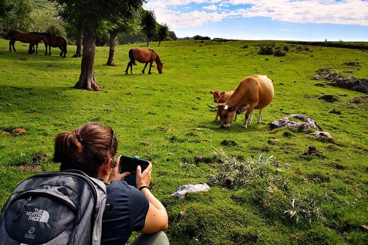 Hiking Experience in Asturias, from Gijón or Oviedo