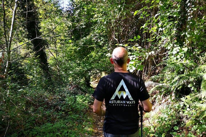 Hiking Experience in Asturias, from Gijón or Oviedo