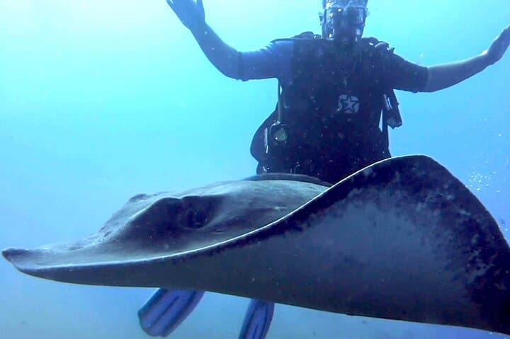 SSI Open Water Diver Course in Tenerife