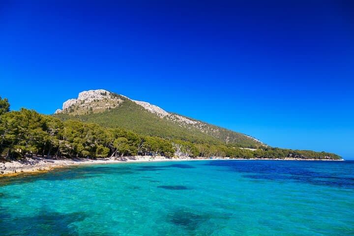 Formentor with boat trip + local market