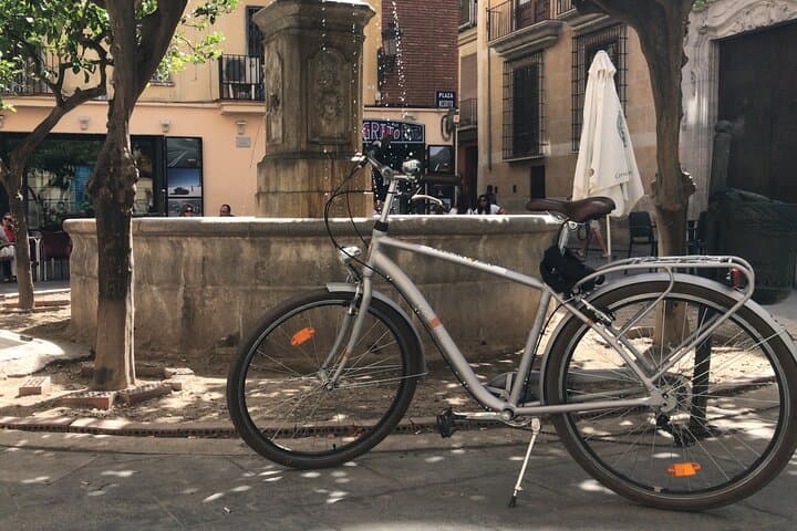 Valencia Old Town Private Tour by Bike or Electric Ride