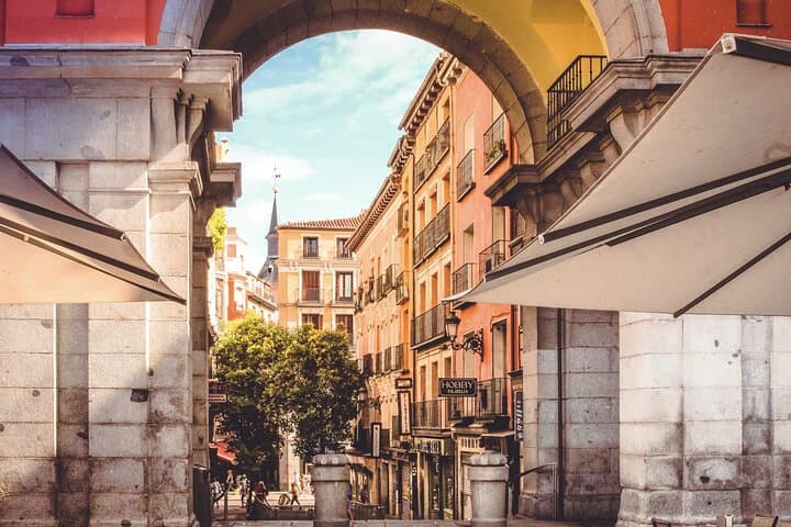 Madrid Private Museums Full Day Tour with driver and guide