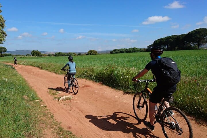 e-Bike (Self-Guided) & Winery tour - 20km Easy