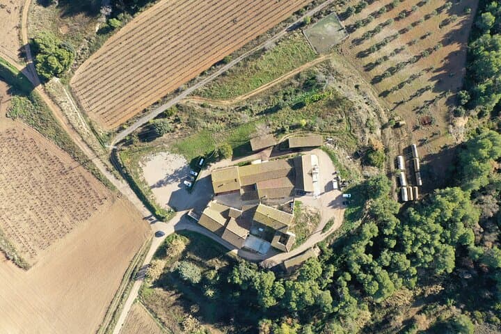 Guided Winery Tour with Wine Tasting and Seasonal Menu