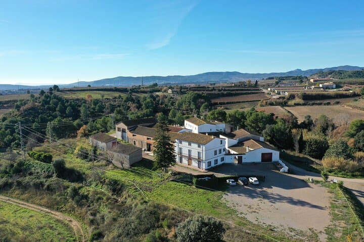 Guided Winery Tour with Wine Tasting and Seasonal Menu