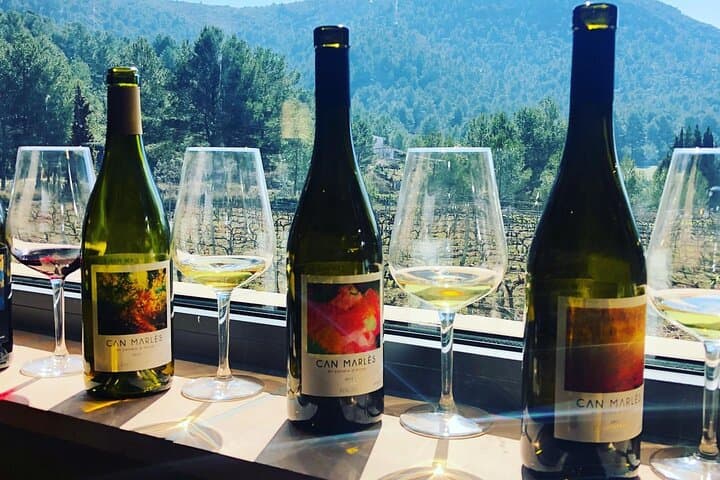 Private Tour - Hike and wine tasting at the Penedés