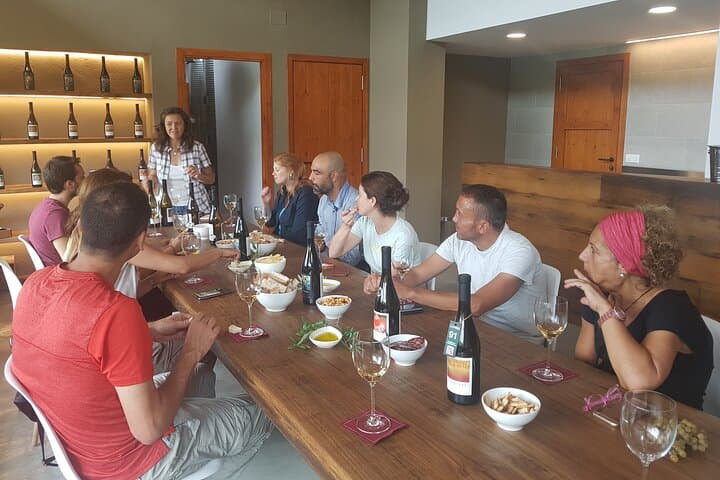 Private Tour - Hike and wine tasting at the Penedés
